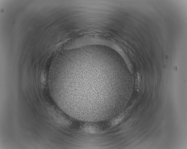 X0000083580608200702231657