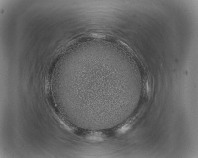 X0000083580609200702231657