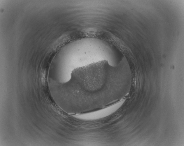 X0000083580610200702231657