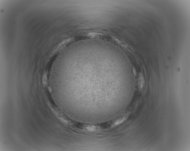 X0000083580611200702231657