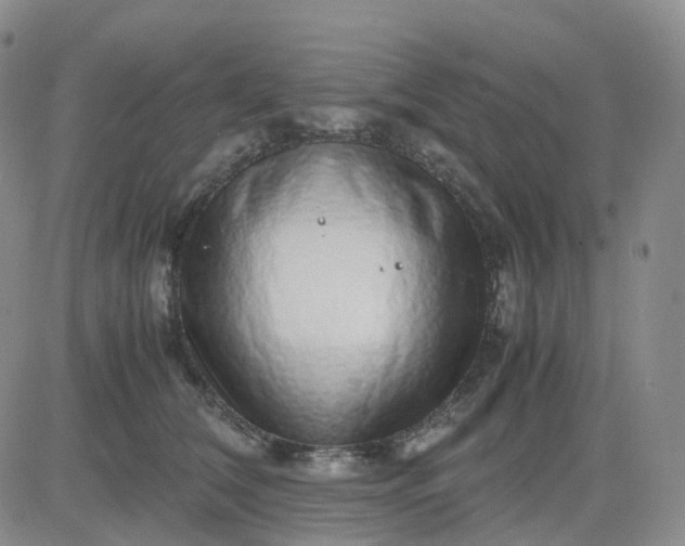 X0000083580612200702231657