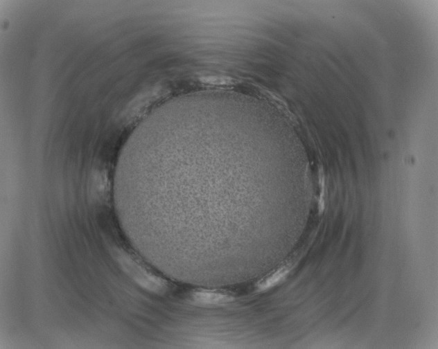 X0000083580614200702231657