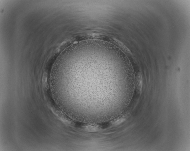 X0000083580615200702231657