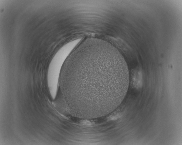 X0000083580616200702231657