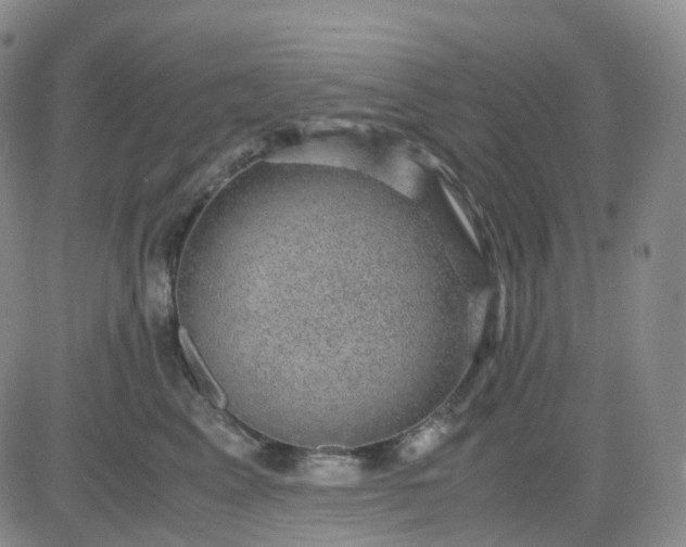 X0000083580617200702231657