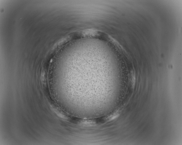 X0000083580619200702231657