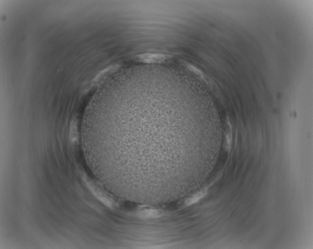 X0000083580620200702231657