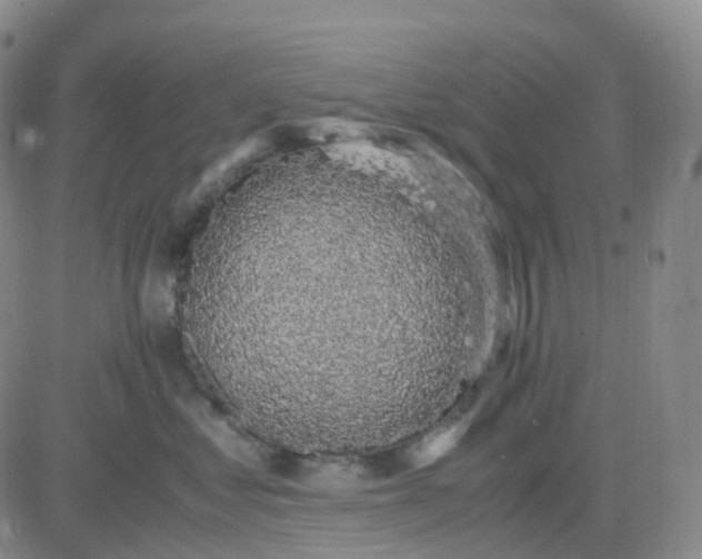 X0000083580621200702231657