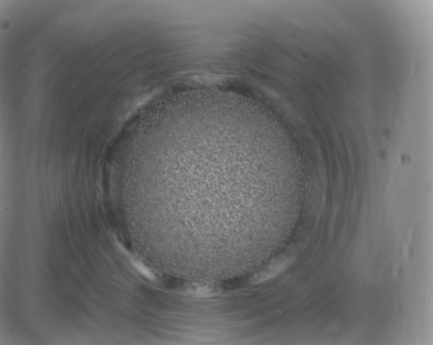 X0000083580624200702231657