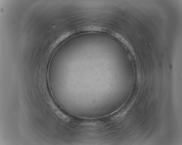 X0000083580625200702231656