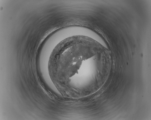 X0000083580626200702231656