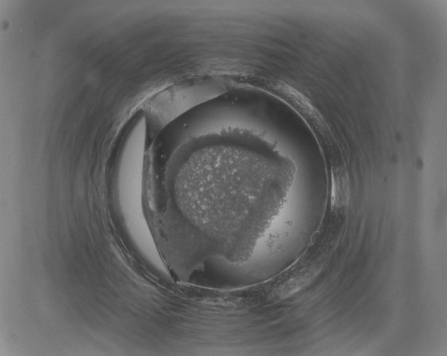 X0000083580627200702231656