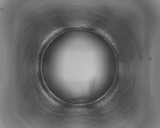 X0000083580629200702231656