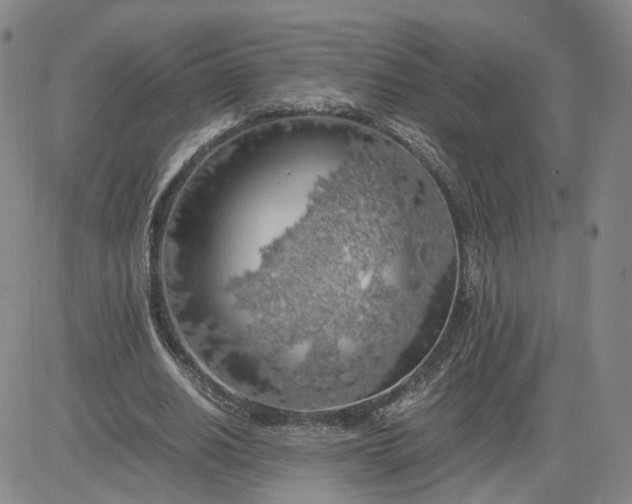 X0000083580630200702231656