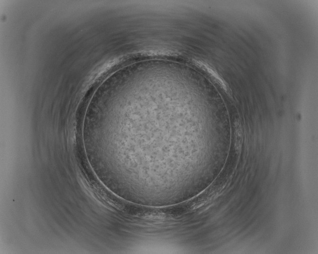 X0000083580631200702231656