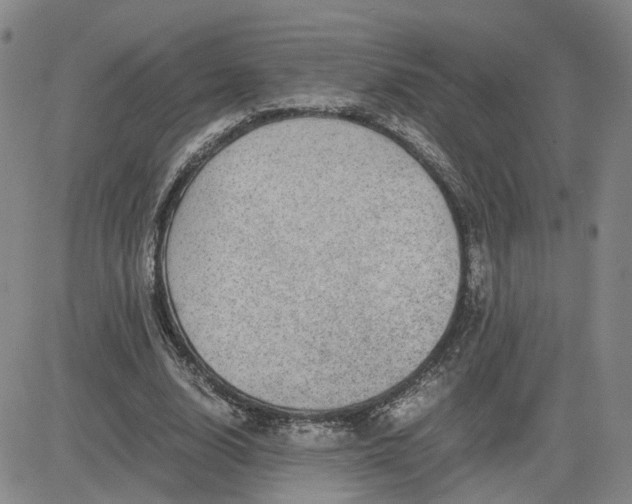 X0000083580632200702231656