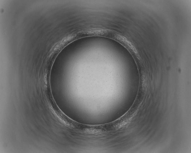 X0000083580633200702231656