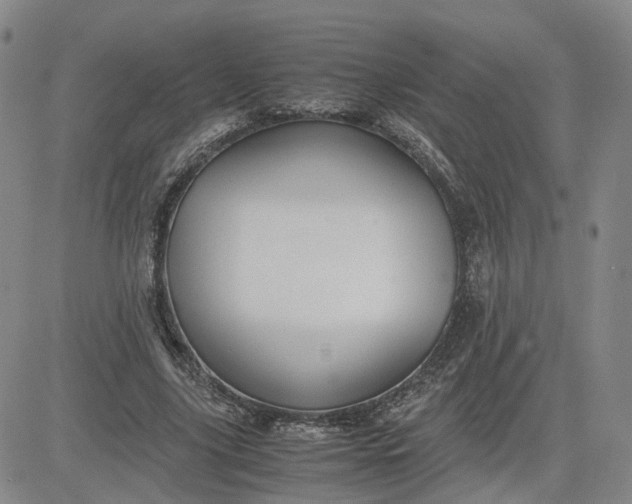 X0000083580635200702231656