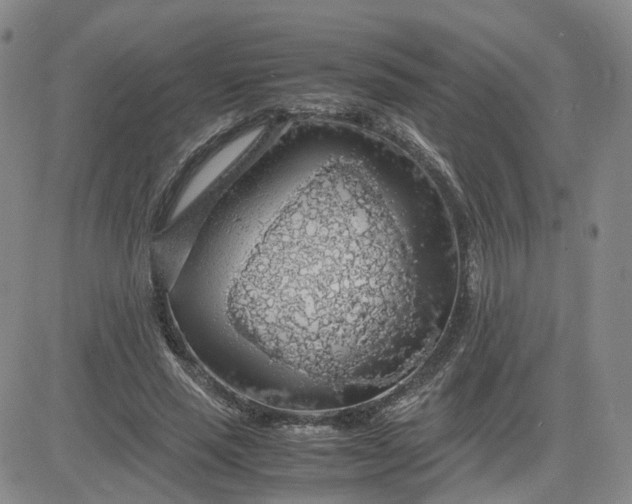 X0000083580637200702231656