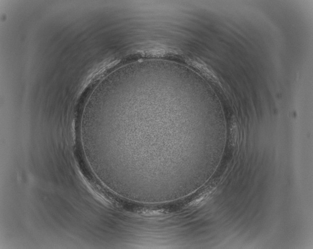 X0000083580638200702231656