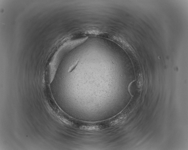 X0000083580639200702231656