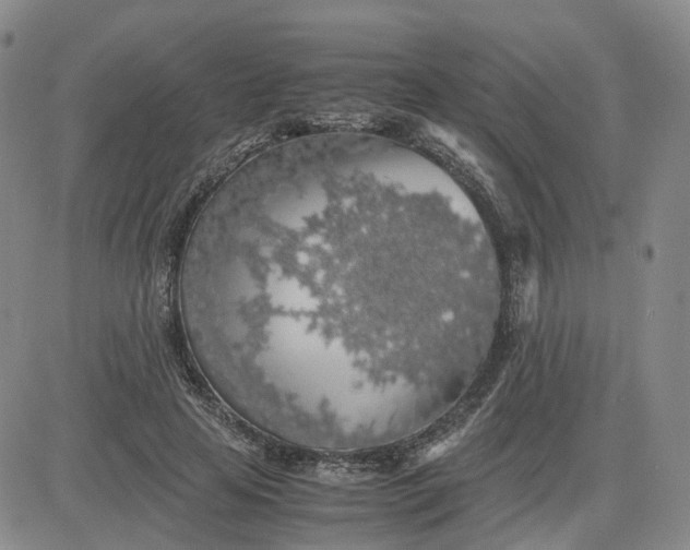 X0000083580641200702231656