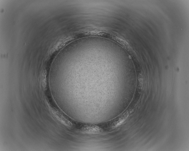 X0000083580642200702231656