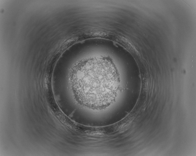 X0000083580643200702231656