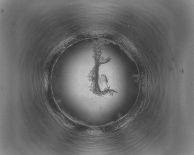 X0000083580644200702231656