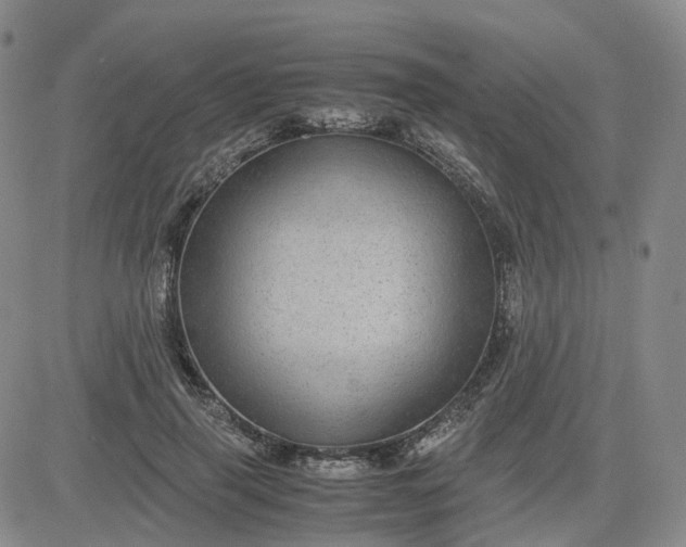 X0000083580645200702231656