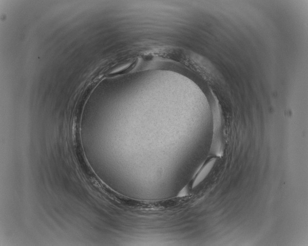 X0000083580646200702231656