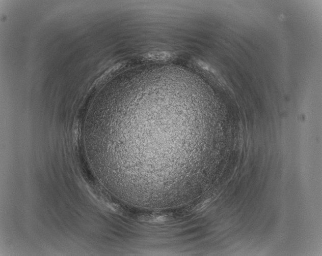 X0000083580647200702231656