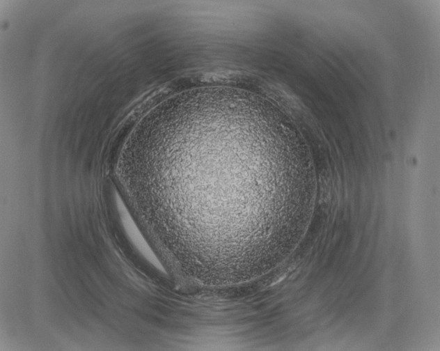 X0000083580648200702231656