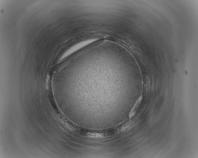 X0000083580649200702231656