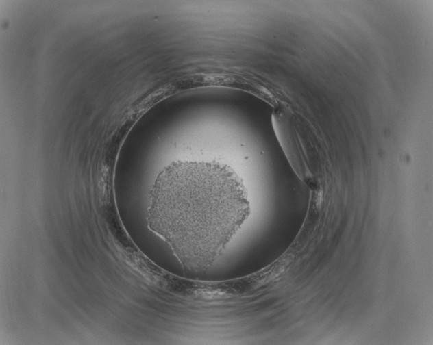 X0000083580650200702231656