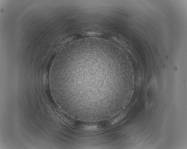 X0000083580651200702231656