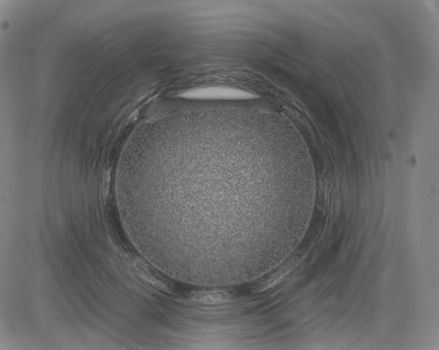 X0000083580652200702231656