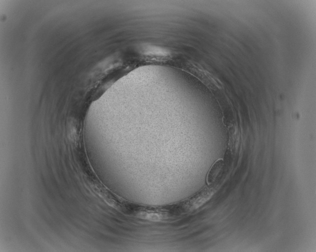 X0000083580655200702231656