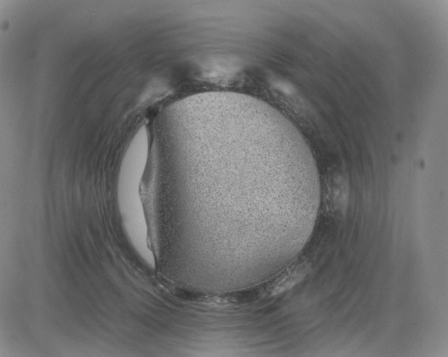 X0000083580656200702231656