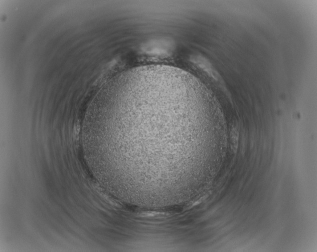 X0000083580657200702231656