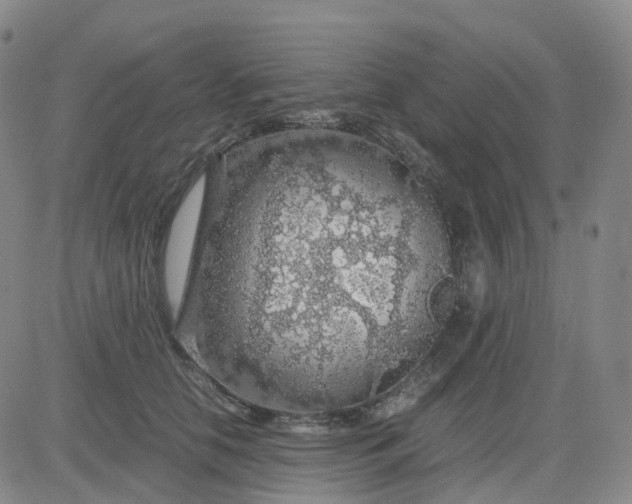 X0000083580658200702231656