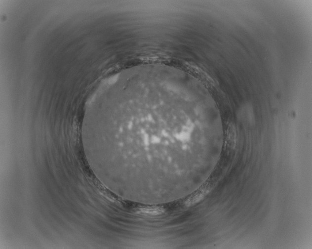 X0000083580659200702231656