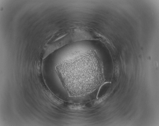 X0000083580661200702231656