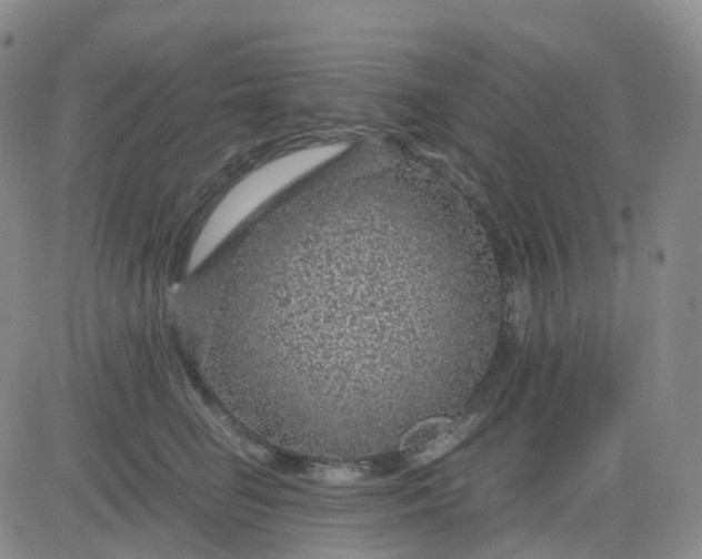 X0000083580662200702231656