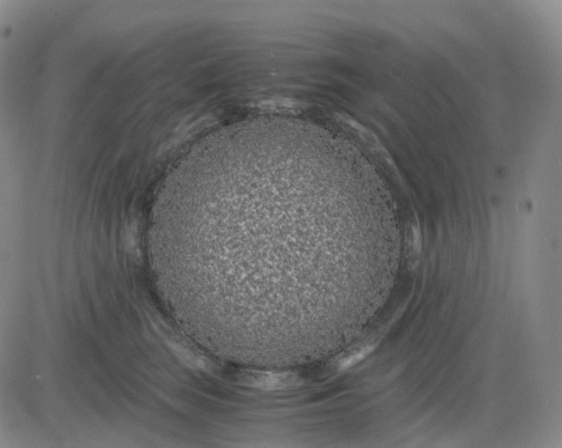 X0000083580663200702231656