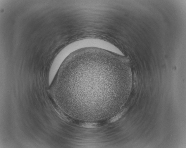 X0000083580664200702231656