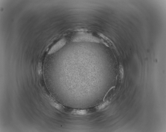 X0000083580665200702231656