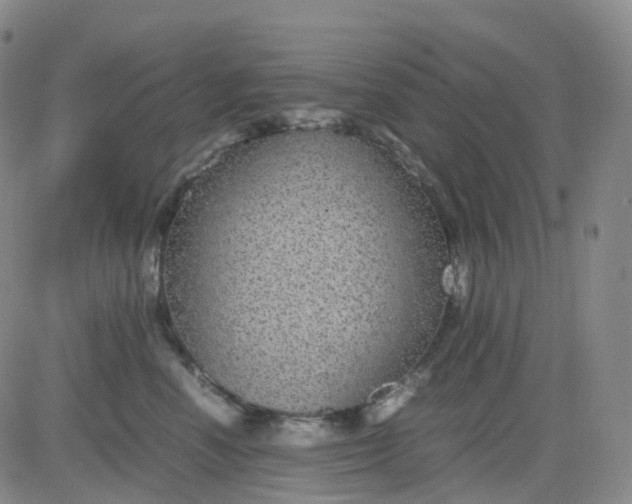 X0000083580666200702231656