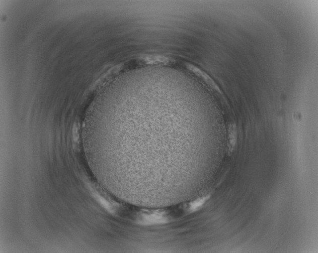 X0000083580667200702231656