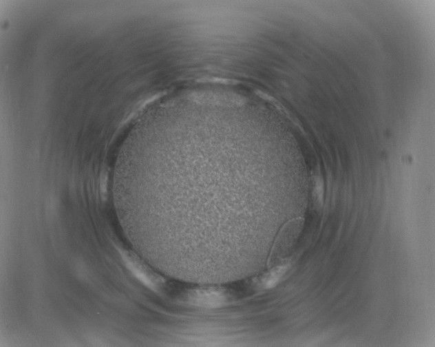 X0000083580668200702231657